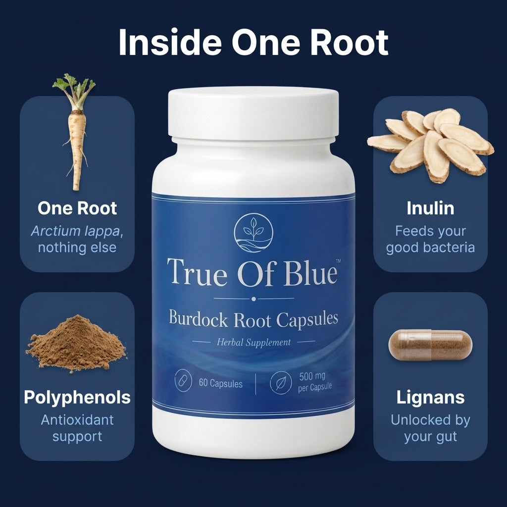 True Of Blue™ Burdock Root